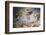 Raphael's Oil Painting of the Resurrection of Jesus-Godong-Framed Photographic Print