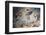 Raphael's Oil Painting of the Resurrection of Jesus-Godong-Framed Photographic Print