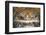 Raphael's Rooms, Disputation of the Holy Sacrament, Vatican Museum, Rome, Lazio-Godong-Framed Photographic Print