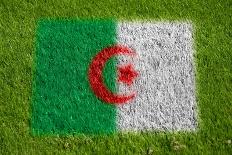 Flag of Algeria on Grass-raphtong-Art Print