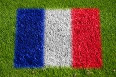 Flag of France on Grass-raphtong-Framed Art Print