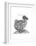 Raphus cucullatus, Extinct Dodo Bird-Science Source-Framed Giclee Print