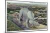 Rapid City, South Dakota, Dinosaur Park View of Triceratops Statue-Lantern Press-Mounted Art Print
