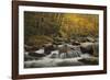 Rapid Dichotomy-Michael Greene-Framed Giclee Print