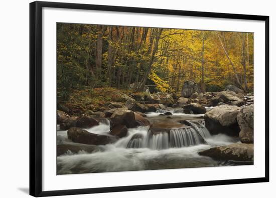 Rapid Dichotomy-Michael Greene-Framed Giclee Print