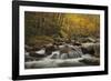 Rapid Dichotomy-Michael Greene-Framed Giclee Print