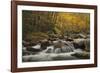 Rapid Dichotomy-Michael Greene-Framed Giclee Print