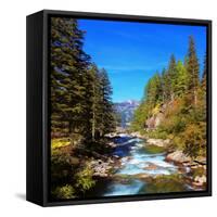 Rapid Mountain Stream of Coniferous Forests. Pastoral in the Alpine Mountain Valley in Austria. Cas-kavram-Framed Stretched Canvas