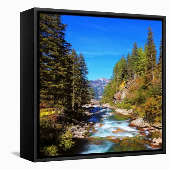 Rapid Mountain Stream of Coniferous Forests. Pastoral in the Alpine Mountain Valley in Austria. Cas-kavram-Framed Stretched Canvas