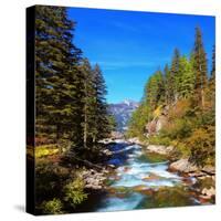 Rapid Mountain Stream of Coniferous Forests. Pastoral in the Alpine Mountain Valley in Austria. Cas-kavram-Stretched Canvas