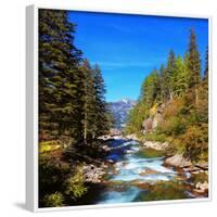 Rapid Mountain Stream of Coniferous Forests. Pastoral in the Alpine Mountain Valley in Austria. Cas-kavram-Framed Photographic Print
