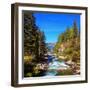 Rapid Mountain Stream of Coniferous Forests. Pastoral in the Alpine Mountain Valley in Austria. Cas-kavram-Framed Photographic Print