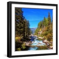 Rapid Mountain Stream of Coniferous Forests. Pastoral in the Alpine Mountain Valley in Austria. Cas-kavram-Framed Photographic Print