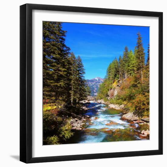 Rapid Mountain Stream of Coniferous Forests. Pastoral in the Alpine Mountain Valley in Austria. Cas-kavram-Framed Photographic Print