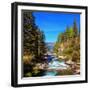 Rapid Mountain Stream of Coniferous Forests. Pastoral in the Alpine Mountain Valley in Austria. Cas-kavram-Framed Photographic Print