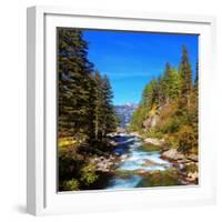 Rapid Mountain Stream of Coniferous Forests. Pastoral in the Alpine Mountain Valley in Austria. Cas-kavram-Framed Photographic Print