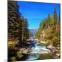 Rapid Mountain Stream of Coniferous Forests. Pastoral in the Alpine Mountain Valley in Austria. Cas-kavram-Mounted Photographic Print