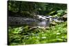 Rapid River Photo Print Poster-null-Stretched Canvas