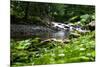 Rapid River Photo Print Poster-null-Mounted Poster