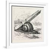 Rapid Transit and the Obelisk., 1880 1881-null-Framed Giclee Print