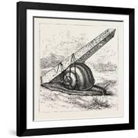 Rapid Transit and the Obelisk., 1880 1881-null-Framed Giclee Print