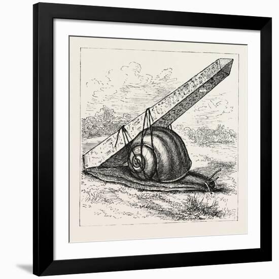 Rapid Transit and the Obelisk., 1880 1881-null-Framed Giclee Print