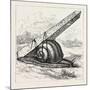 Rapid Transit and the Obelisk., 1880 1881-null-Mounted Giclee Print