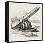 Rapid Transit and the Obelisk., 1880 1881-null-Framed Stretched Canvas