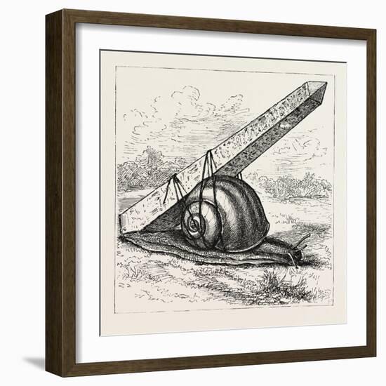 Rapid Transit and the Obelisk., 1880 1881-null-Framed Giclee Print