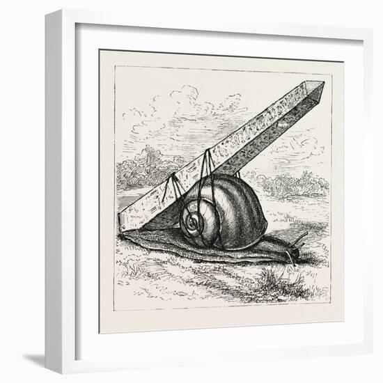 Rapid Transit and the Obelisk., 1880 1881-null-Framed Giclee Print