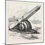 Rapid Transit and the Obelisk., 1880 1881-null-Mounted Giclee Print