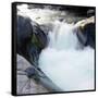 Canvas Black