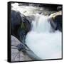 Canvas Black