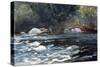 Rapids, Hudson River, 1894-Winslow Homer-Stretched Canvas