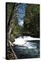 Rapids II-Brian Moore-Stretched Canvas