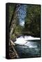 Rapids II-Brian Moore-Framed Stretched Canvas