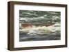 Rapids, Lower Deschutes River, Central Oregon, USA-Stuart Westmorland-Framed Photographic Print