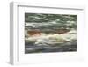 Rapids, Lower Deschutes River, Central Oregon, USA-Stuart Westmorland-Framed Photographic Print