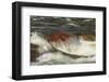 Rapids, Lower Deschutes River, Central Oregon, USA-Stuart Westmorland-Framed Photographic Print