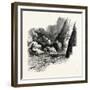 Rapids of Labrador, Canada, 1870s-null-Framed Giclee Print