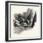 Rapids of Labrador, Canada, 1870s-null-Framed Giclee Print