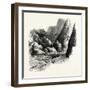 Rapids of Labrador, Canada, 1870s-null-Framed Giclee Print