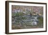Rapids on the Petite Creuse at Fresselines, 1889-Claude Monet-Framed Giclee Print
