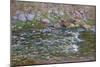 Rapids on the Petite Creuse at Fresselines, 1889-Claude Monet-Mounted Giclee Print
