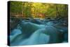 Rapids-Thomas Ebelt-Stretched Canvas