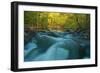 Rapids-Thomas Ebelt-Framed Photographic Print