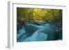 Rapids-Thomas Ebelt-Framed Photographic Print