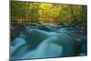 Rapids-Thomas Ebelt-Mounted Photographic Print