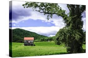 Rappahannock County I-Alan Hausenflock-Stretched Canvas