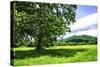 Rappahannock County II-Alan Hausenflock-Stretched Canvas